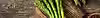 aboutbanner.avif