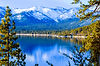 AdobeStock_168711410.jpeg